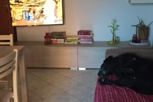 Bilocale Veternigo centro