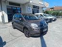 fiat-panda-city-life-edition-1-0-69-cv-hybrid-pro