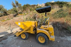 Dumper Fiori D25