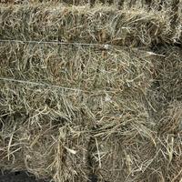 Ballette di fieno SCENOGRAFICHE