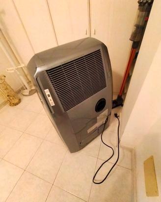 Pinguino De Longhi portatile