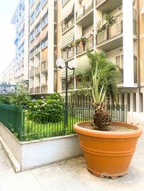 Attico / Mansarda di 12 m² a Roma