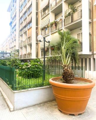 Attico / Mansarda di 12 m² a Roma