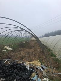 200 CENTINE SCATOLATE