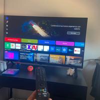 Televisione Ig 48 pollici oled