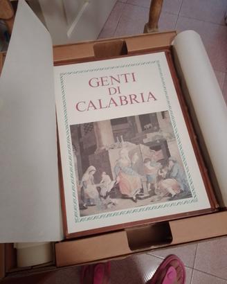 libro da collezione 