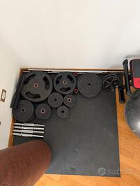 Palestra attrezzata