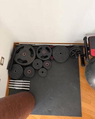 Palestra attrezzata