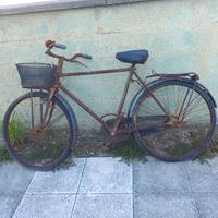 BICICLETTA "WOLSIT" 28" + HOLLAND  26" + BIACHI 26