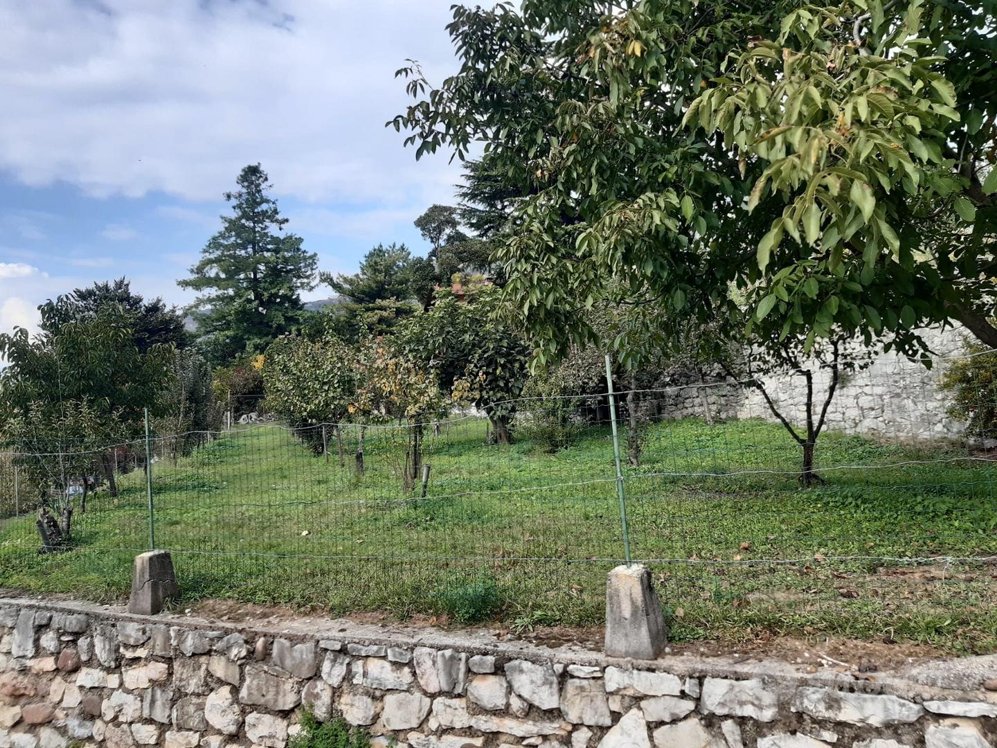 Terreno agricolo terrazzato con imp. irrigazione - Vista 4