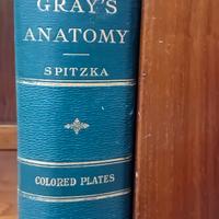 libro medicina antico Gray’s Anatomy – Eighteenth