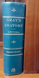 libro medicina antico Gray’s Anatomy – Eighteenth