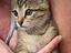 Immagine 4