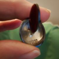 Gemelli dalla Norvegia