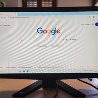 monitor acer x233h b