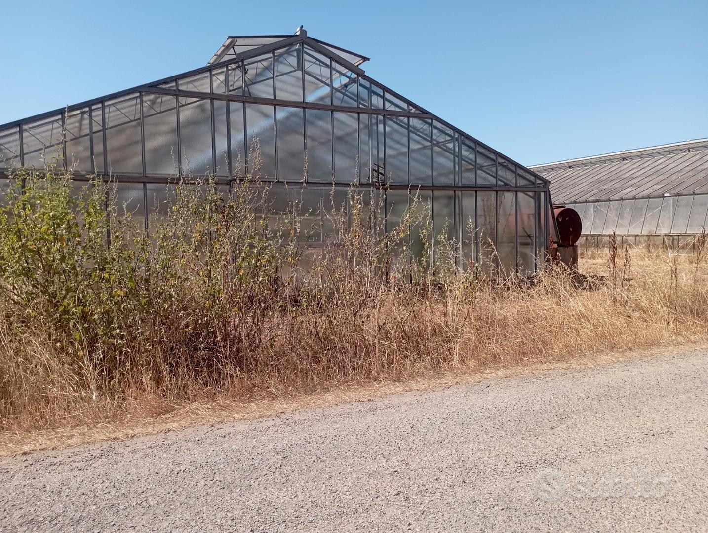 Serre + terreno agricolo - Vista 3