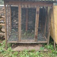 gabbia per galline