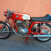 MV Agusta 350 sport con crs