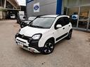 fiat-panda-1-0-firefly-s-s-hybrid-city-cross-iva-d