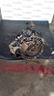 cambio-manuale-completo-fiat-panda-2-serie-diese