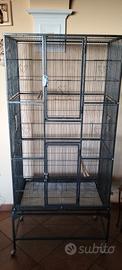 Gabbia pappagalli