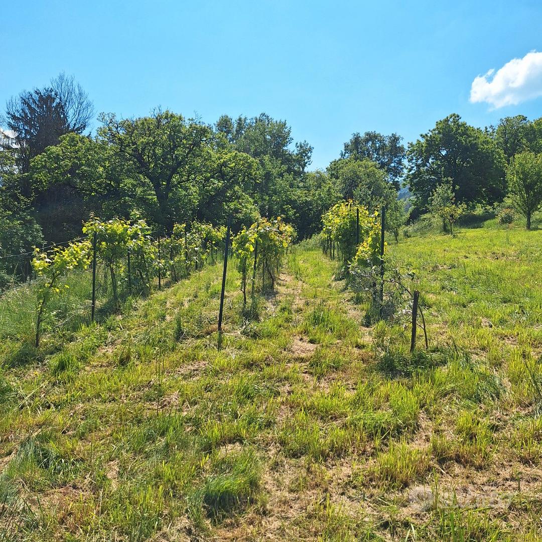 Terreno agricolo in Solto Collina - Vista 3