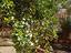 Immagine 25