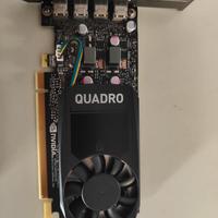 Scheda video Nvidia PNY Quadro P620 2Gb