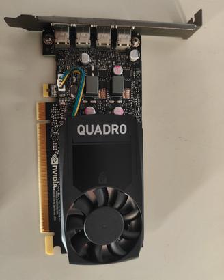 Scheda video Nvidia PNY Quadro P620 2Gb