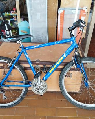 bicicletta 