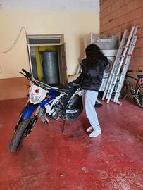 ksr moto 50cc motard
