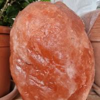 Lampada di sale himalaya 6,5kg 24cm