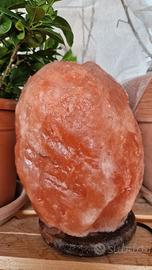 Lampada di sale himalaya 6,5kg 24cm