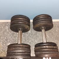 2 manubri da 20 kg l'uno con 20 dischi da 2 kg .
