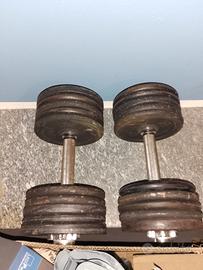 2 manubri da 20 kg l'uno con 20 dischi da 2 kg .