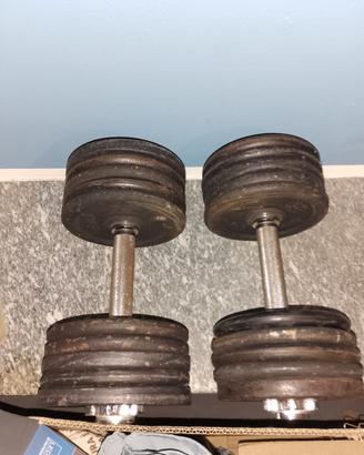 2 manubri da 20 kg l'uno con 20 dischi da 2 kg .