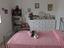 Immagine 11