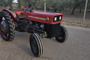Trattore Massey Ferguson 135 frutteto