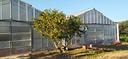 azienda-agricola-con-serre-di-6600-mq-decimomannu