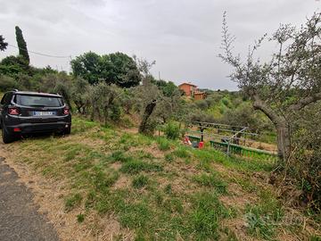 Giucano Uliveto fronte strada 1500 mq ampie piane