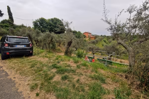 Giucano Uliveto fronte strada 1500 mq ampie piane