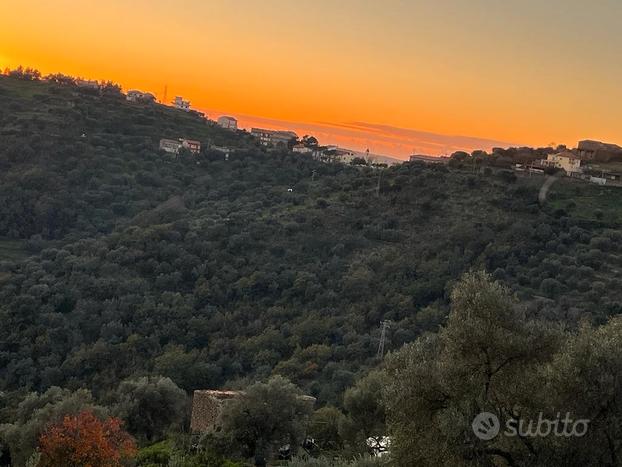 Montecorice-terreno di 2 ettari con rudere