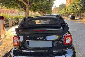 Smart For Two