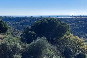 Casetta con oliveto vista mare
