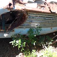 ricambi fiat 124 berlina seconda serie 