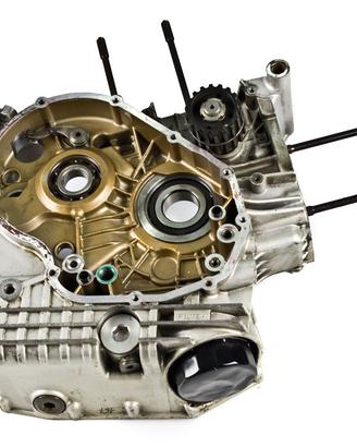 Carter motore destro DUCATI Monster S4