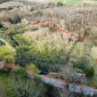 Terreno agricolo con ulivi