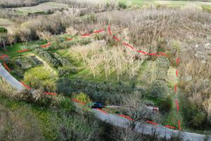 Terreno agricolo con ulivi