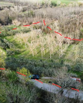 Terreno agricolo con ulivi