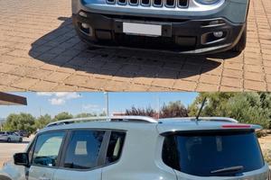 Jeep Renegade 1.6 Multijet 120 CV, anno 2017